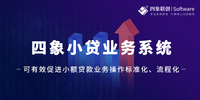 小額貸款信息管理系統.png